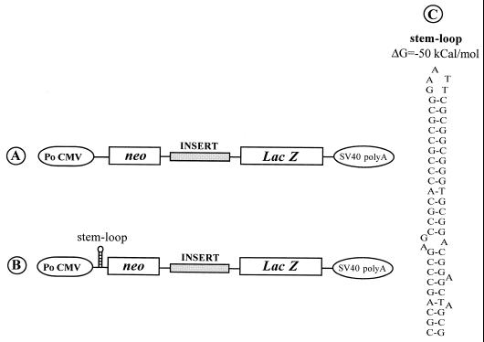 FIG. 5