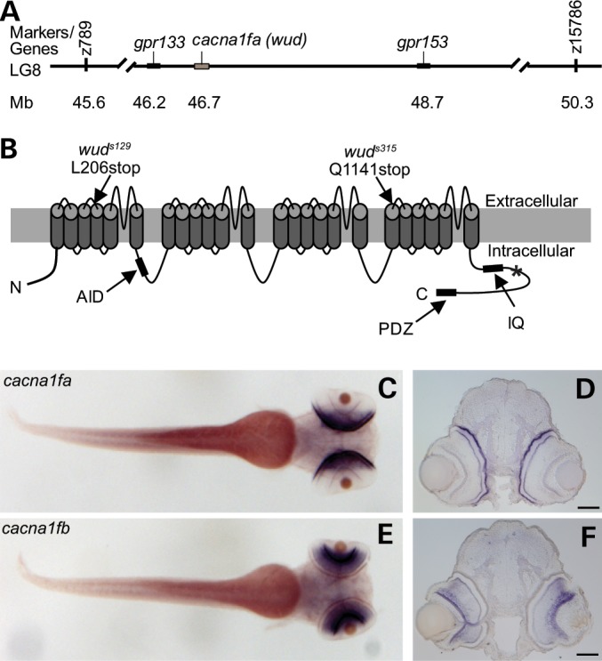 Figure 3.