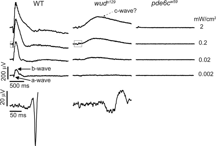 Figure 2.