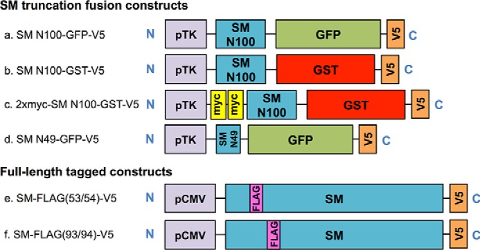 FIGURE 1.