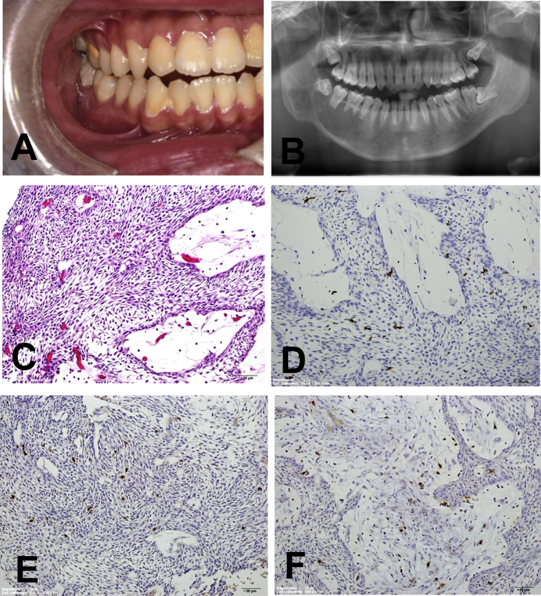 Figure 1