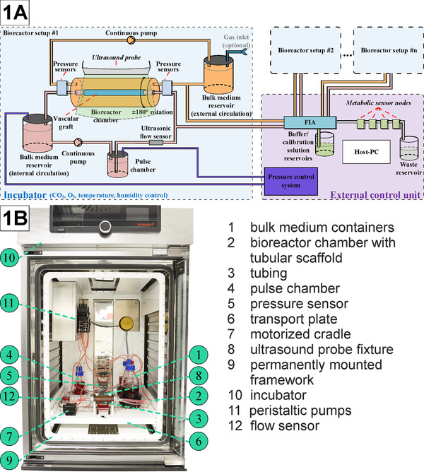 FIGURE 1