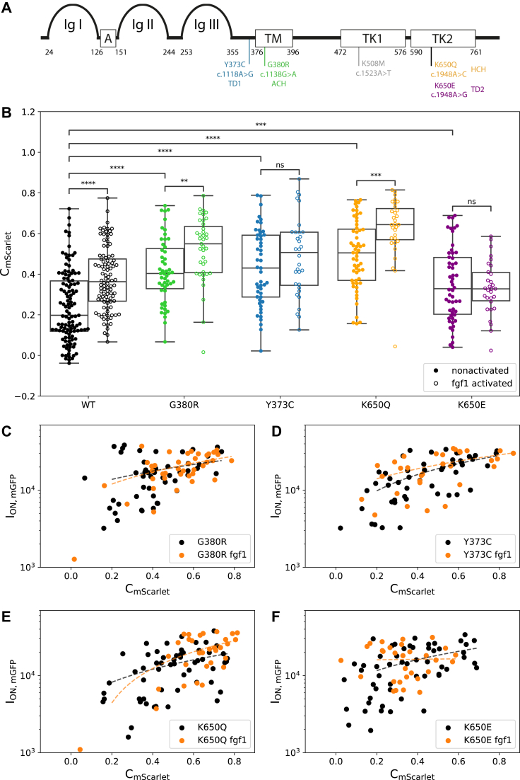 Figure 2