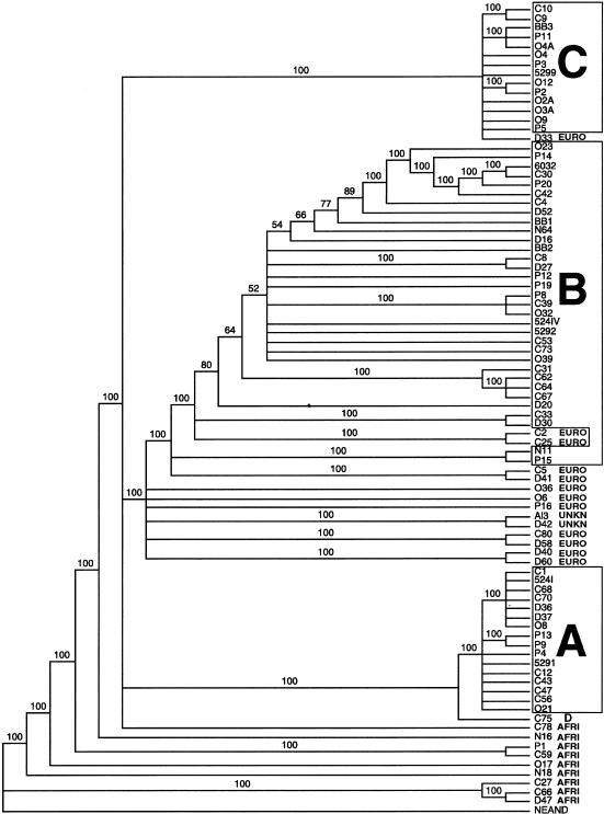 Figure  2