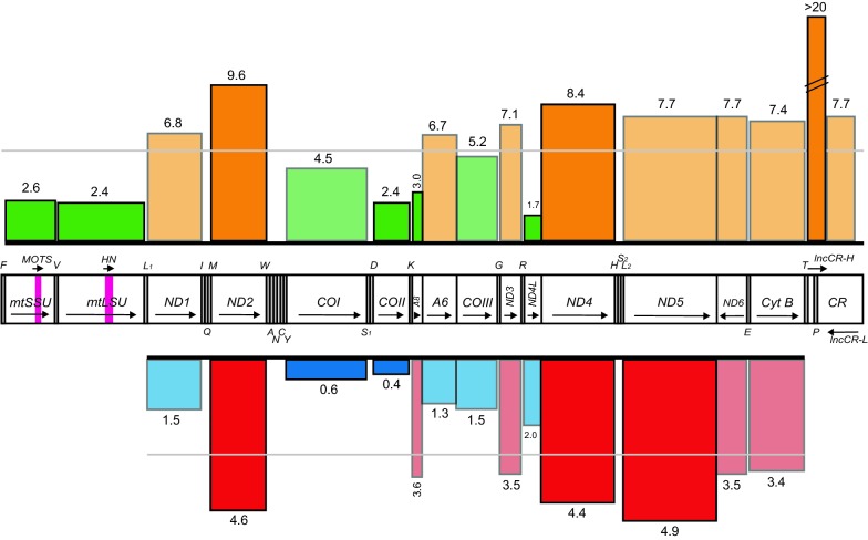 Fig. 1