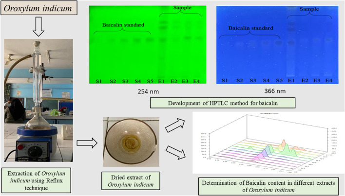 graphic file with name 764_2022_182_Figa_HTML.jpg