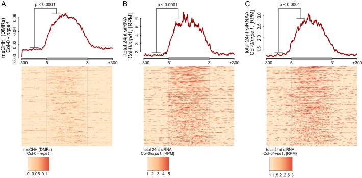 Figure 5—figure supplement 1.