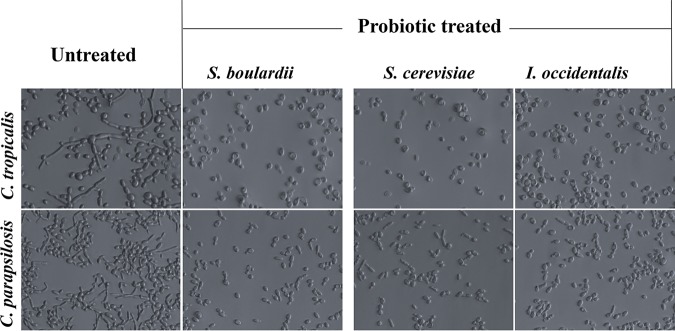 FIG 3