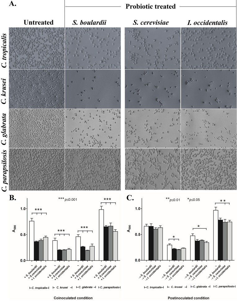 FIG 1