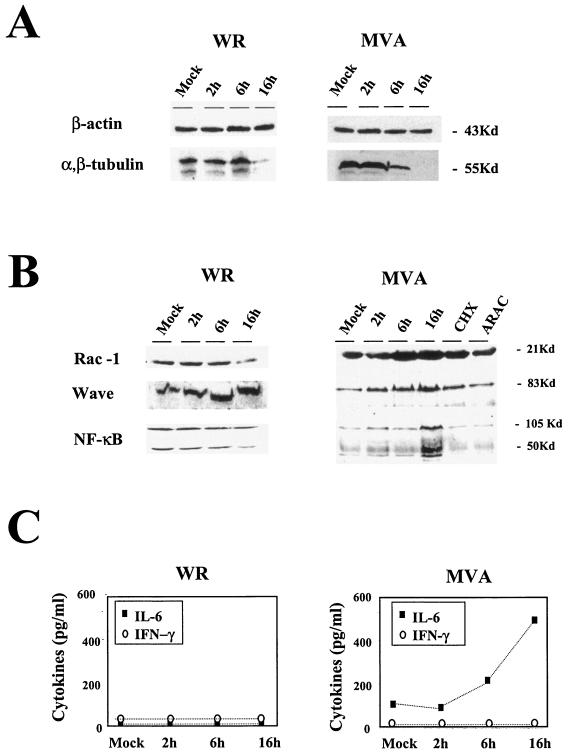 FIG. 5.