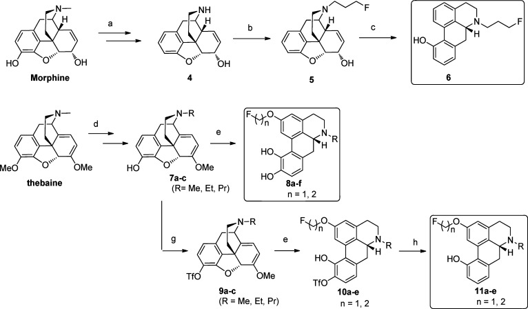 Scheme 1