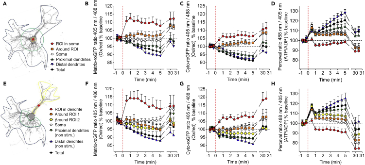 Figure 3