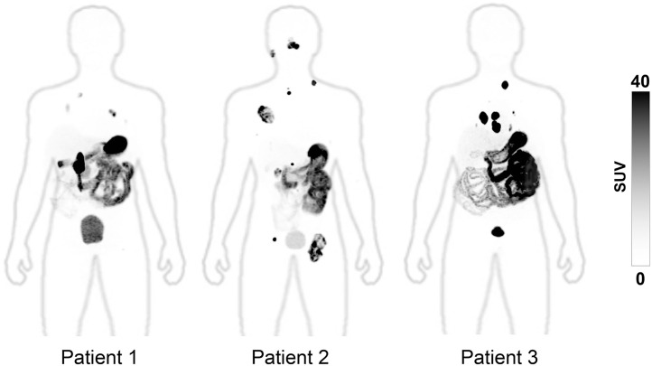 FIGURE 2.