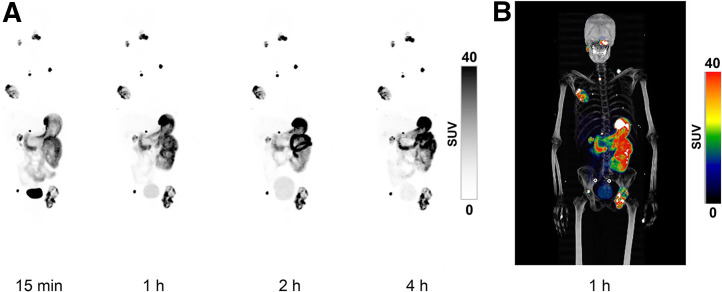 FIGURE 1.