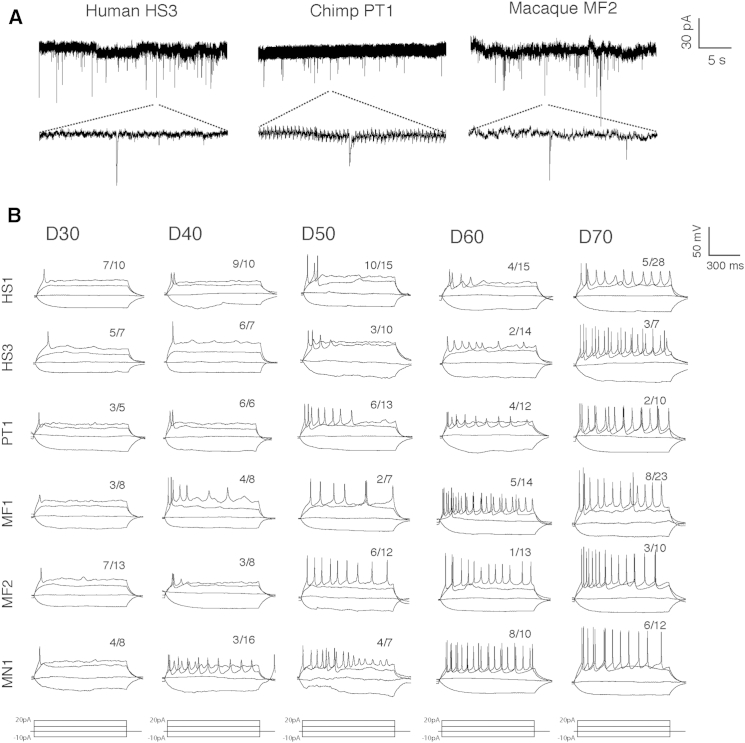 Figure 3