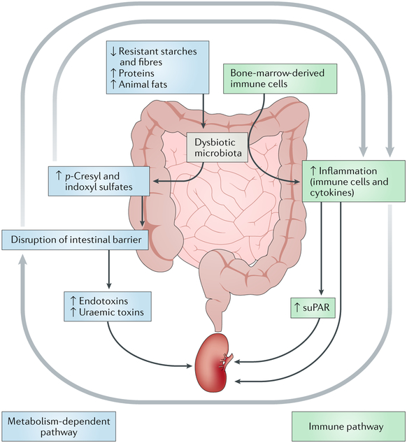 Fig. 2 |