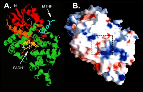 FIGURE 2.