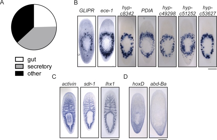 Figure 7—figure supplement 1.