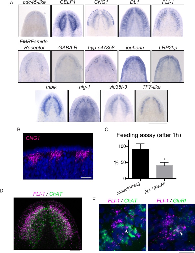 Figure 6.