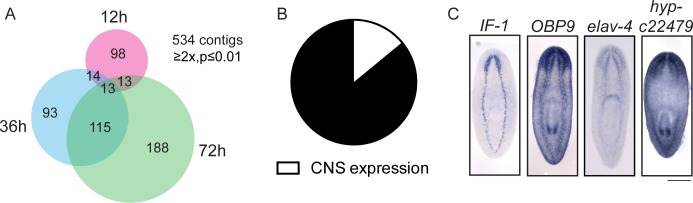 Figure 7.