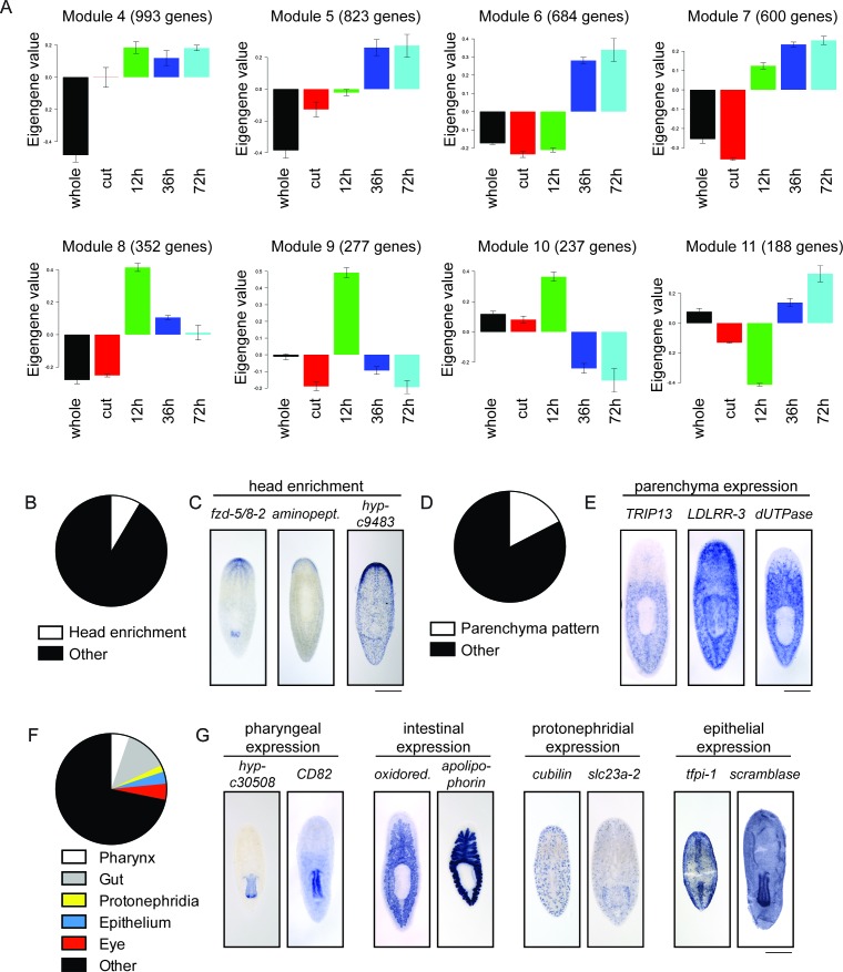 Figure 1—figure supplement 2.