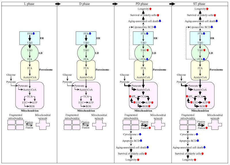 Figure 14