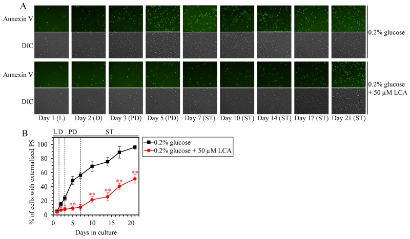 Figure 13