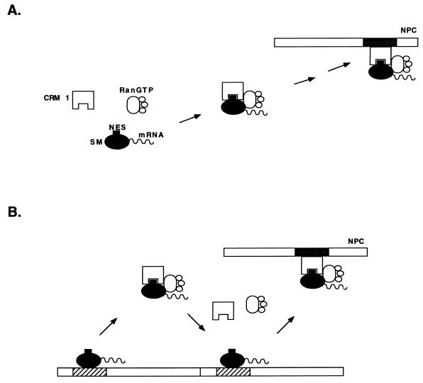 FIG. 8