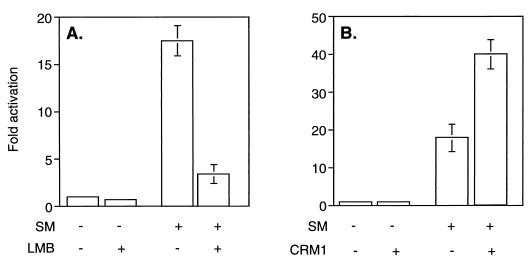 FIG. 1