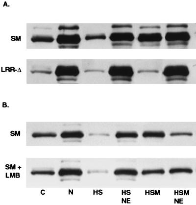 FIG. 7