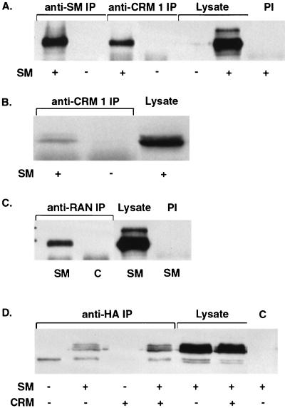 FIG. 5