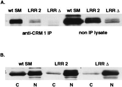 FIG. 6