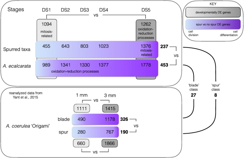 Fig. 10