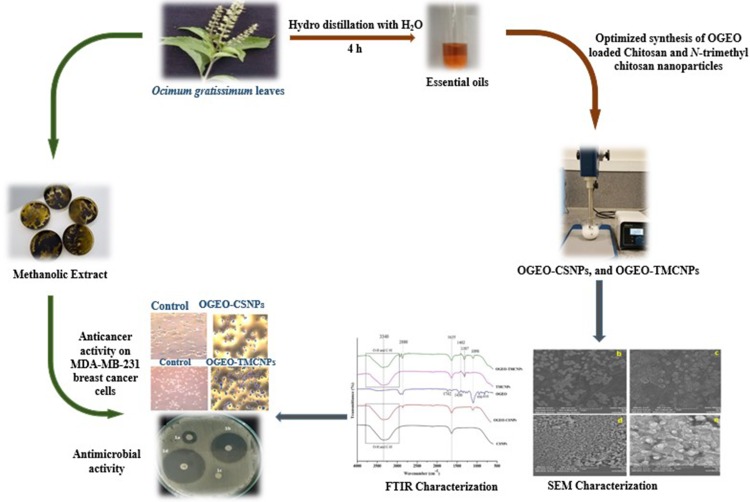 Figure 15