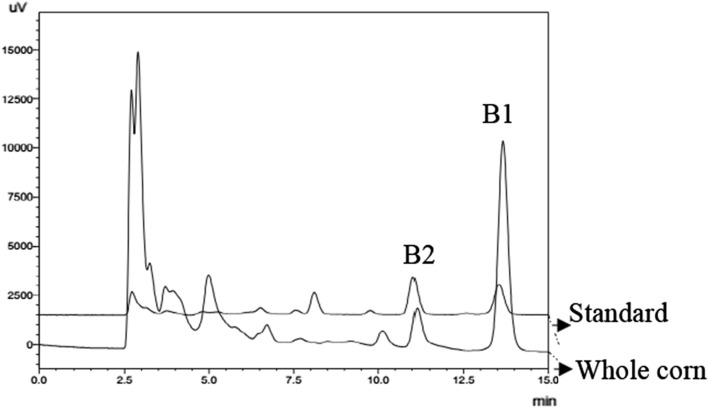 Fig. 2