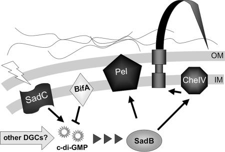 FIG. 7.