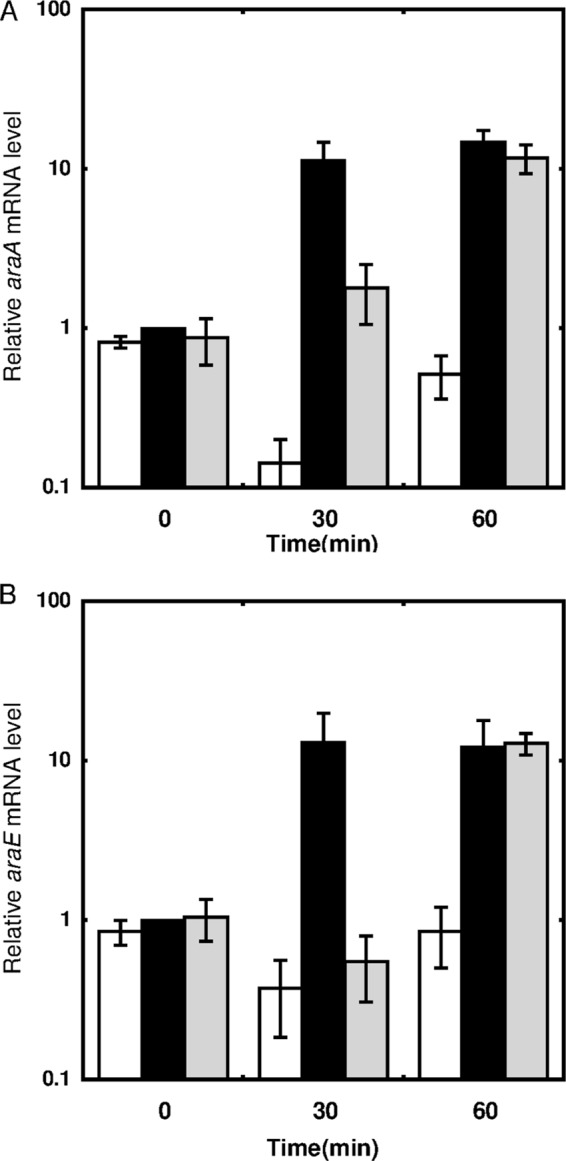 FIG 3