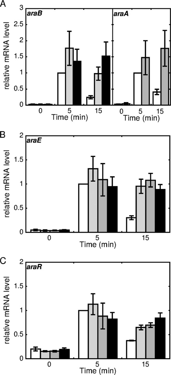 FIG 10