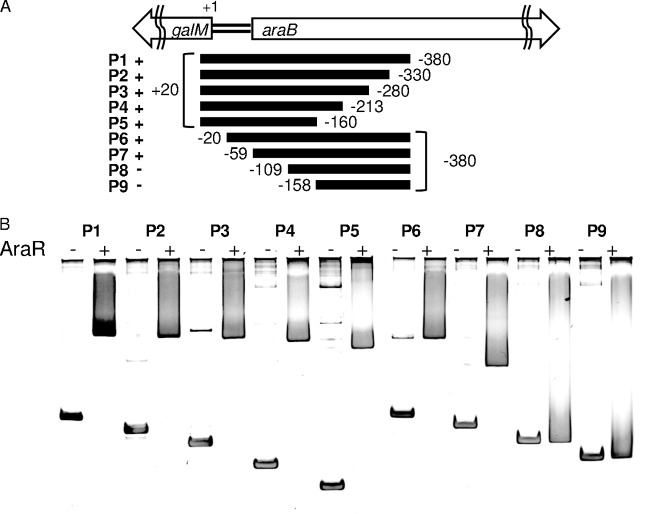 FIG 6