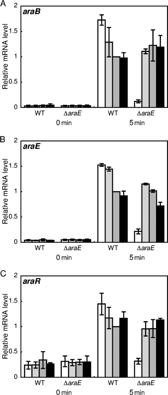 FIG 11