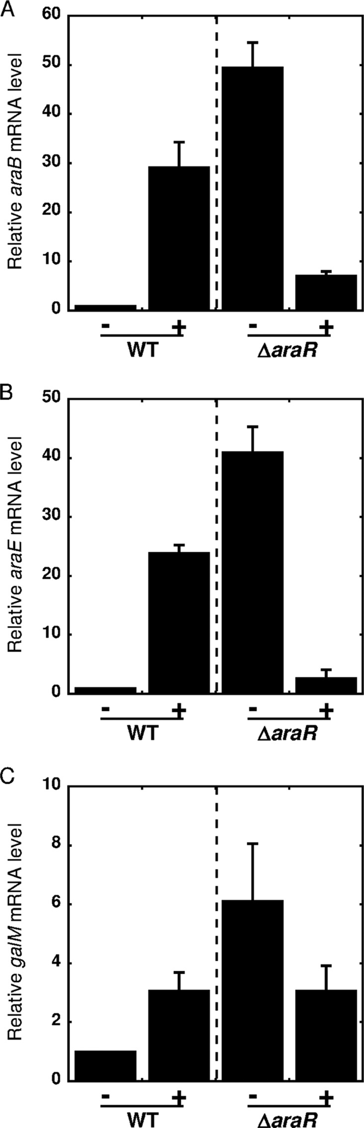 FIG 4