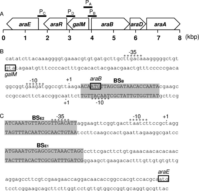 FIG 1