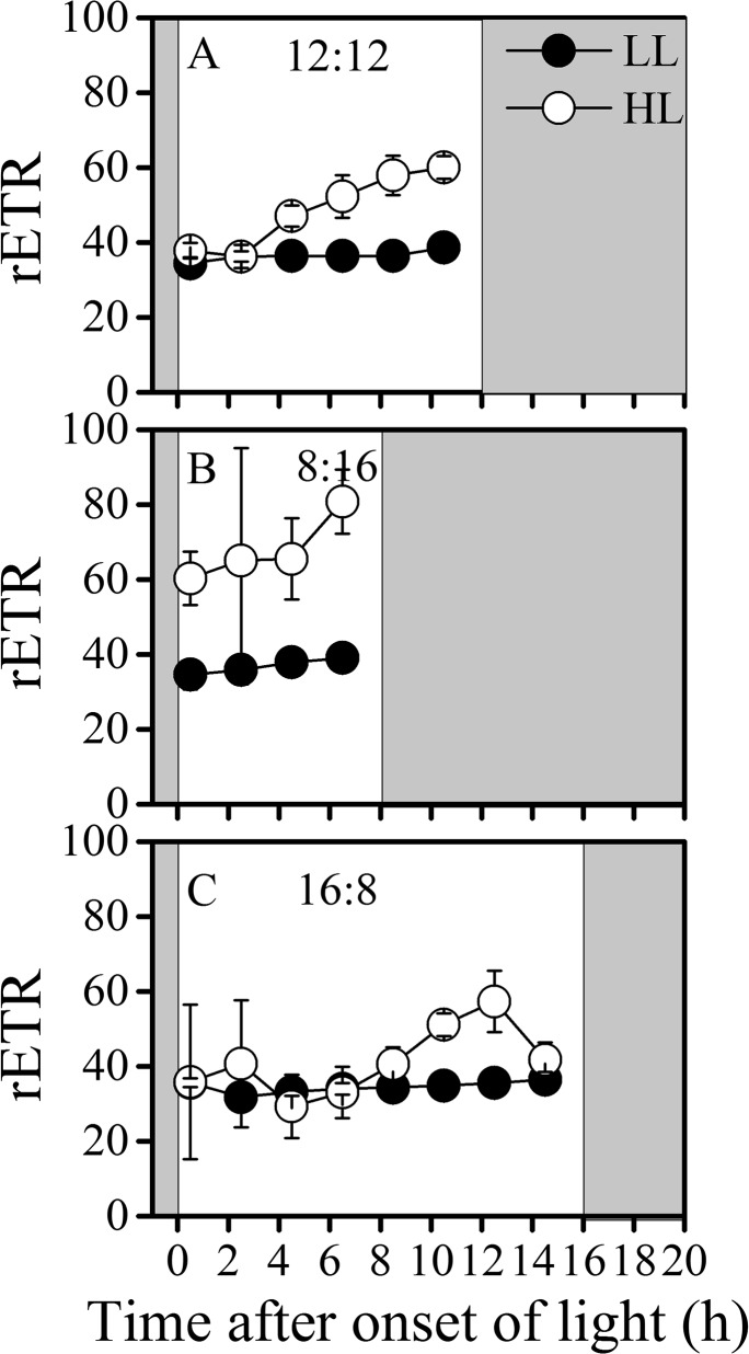 Fig 5