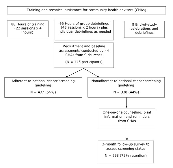 This flowchart begins with “Training and technical assistance for community health advisors (CHAs),” which consisted of 88 hours of training (22 sessions x 4 hours), 96 hours of group debriefings (48 sessions x 2 hours) plus individual debriefings as needed, and 8 end-of-study celebrations and debriefings. Next, recruitment and baseline assessments were conducted by 44 CHAs from 9 churches (N = 775 participants). Of these 775 participants, 437 (56%) were adherent to national cancer screening guidelines and 338 (44%) were nonadherent. Those who were nonadherent received one-on-one counseling, print information, and reminders from CHAs. Of the 338 nonadherent participants, 253 (75% retention) responded to a 3-month follow-up survey to assess screening status.