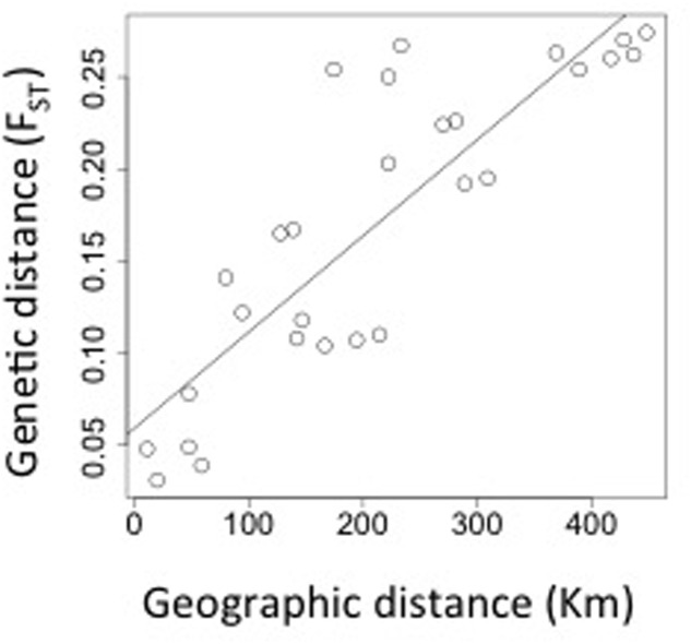 FIGURE 4