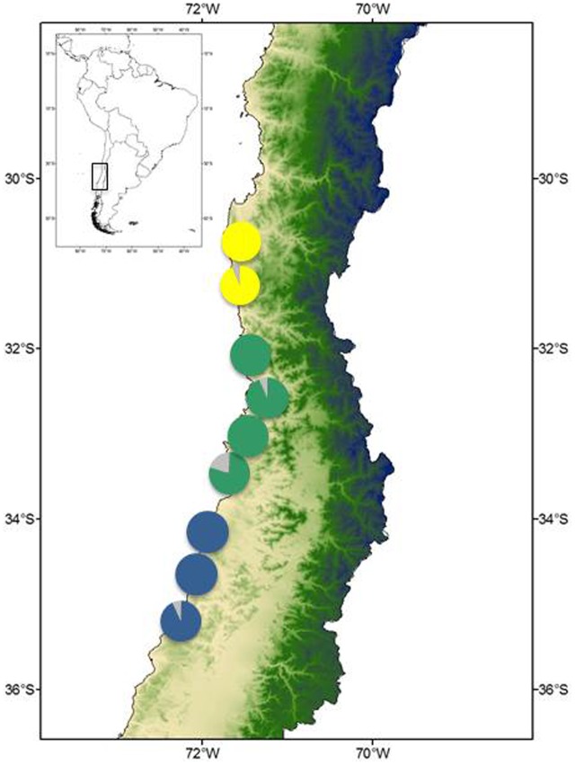 FIGURE 3