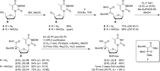 Scheme 1