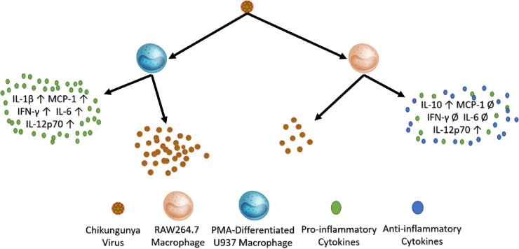 Fig 10