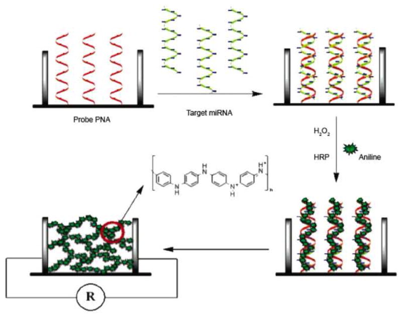 Figure 14