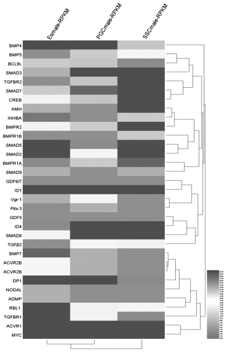 FIG. 4.